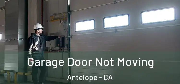  Garage Door Not Moving Antelope - CA