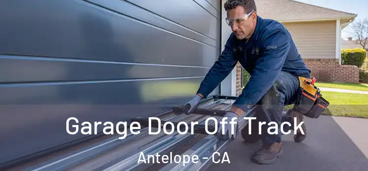  Garage Door Off Track Antelope - CA