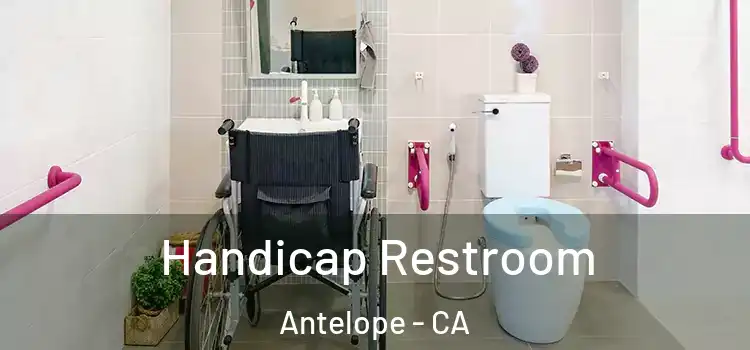 Handicap Restroom Antelope - CA