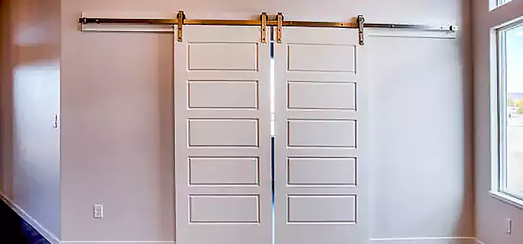 Glass Barn Door with Installation Hardware Kit Antelope
