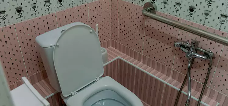 Meeting Diverse Needs With Accessible Restroom Solutions in Antelope, CA