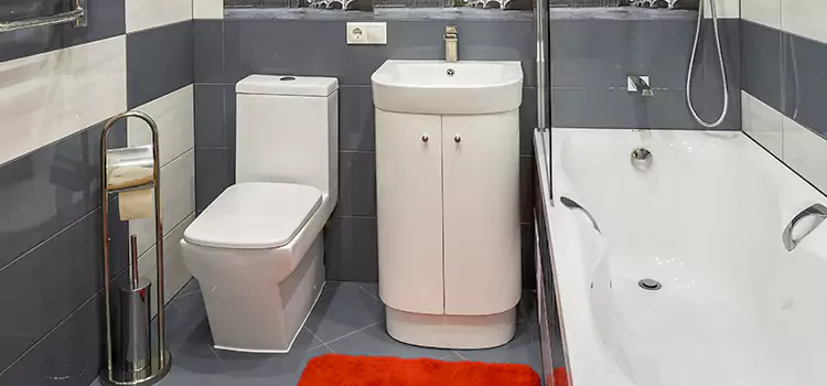 Hansgrohe Shaving Mirror Antelope